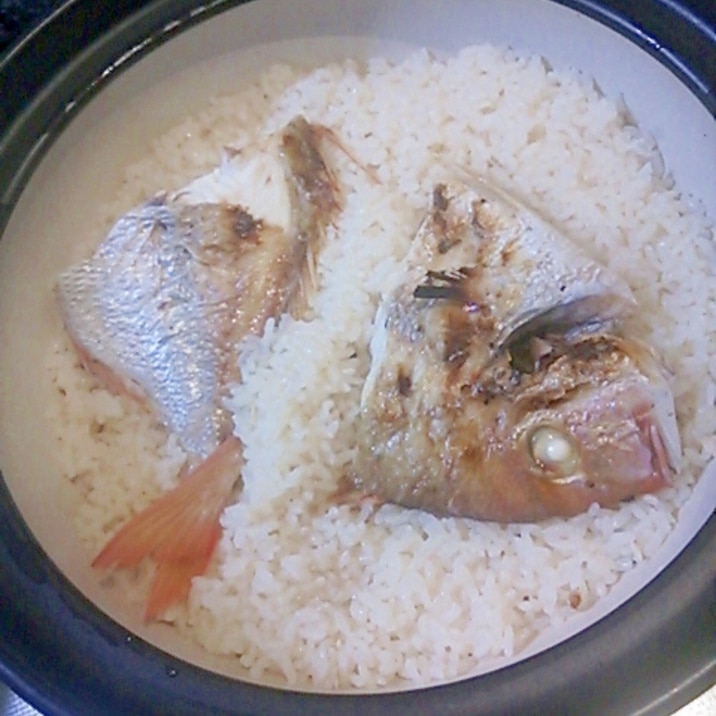 鯛めし レシピ 土鍋 土鍋 鯛めし レシピ